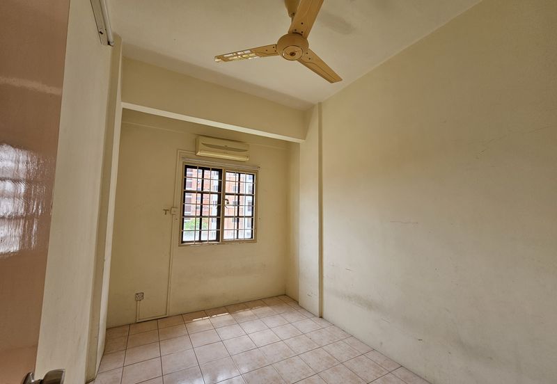 Evergreen Park Acorn and Hazel