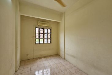 Evergreen Park Acorn and Hazel