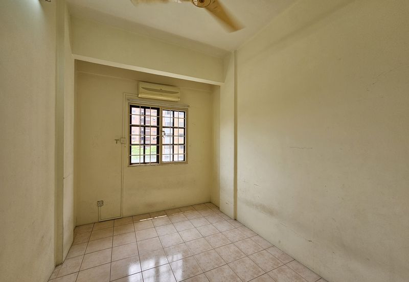 Evergreen Park Acorn and Hazel