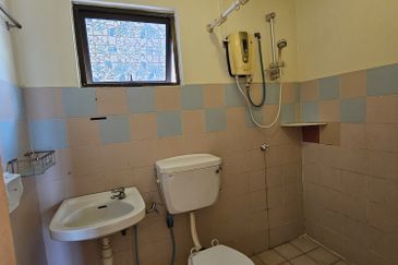 Evergreen Park Acorn and Hazel