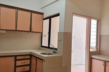 Evergreen Park Acorn and Hazel