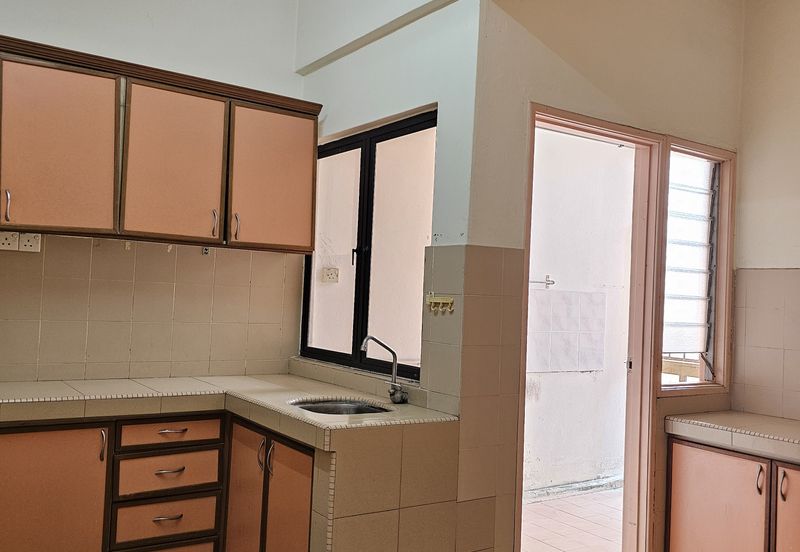 Evergreen Park Acorn and Hazel