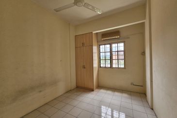 Evergreen Park Acorn and Hazel