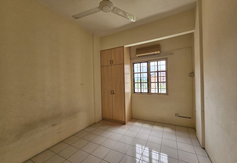 Evergreen Park Acorn and Hazel