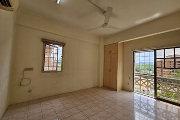 Evergreen Park Acorn and Hazel