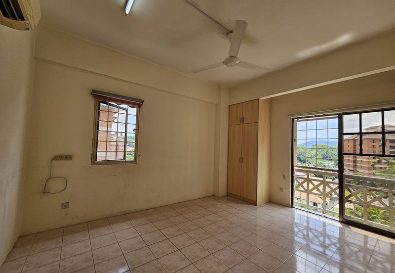 Evergreen Park Acorn and Hazel