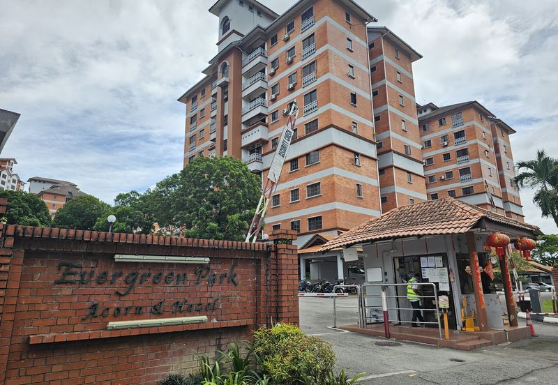 Evergreen Park Acorn and Hazel