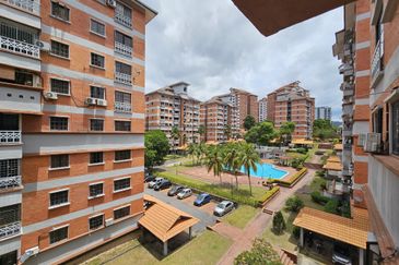Evergreen Park Acorn and Hazel