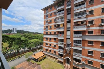 Evergreen Park Acorn and Hazel