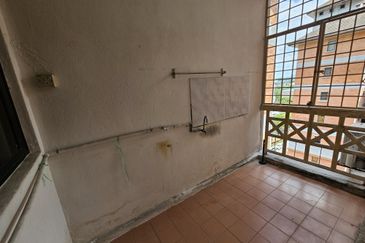 Evergreen Park Acorn and Hazel