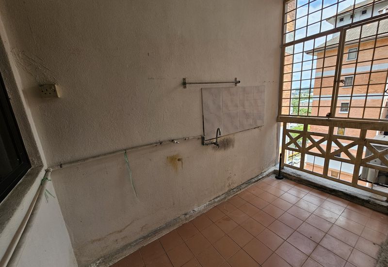 Evergreen Park Acorn and Hazel