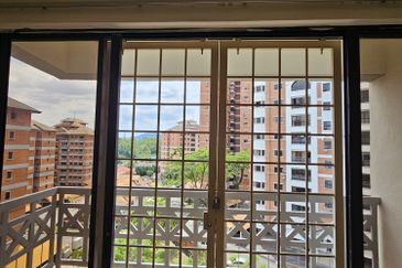 Evergreen Park Acorn and Hazel