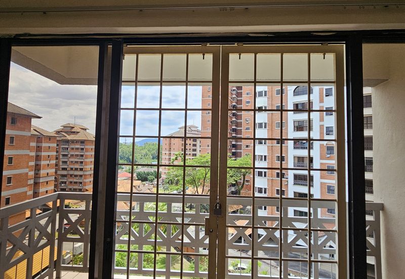 Evergreen Park Acorn and Hazel