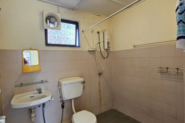 Evergreen Park Acorn and Hazel