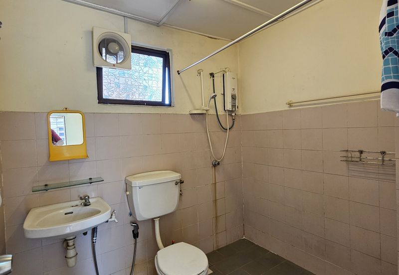 Evergreen Park Acorn and Hazel