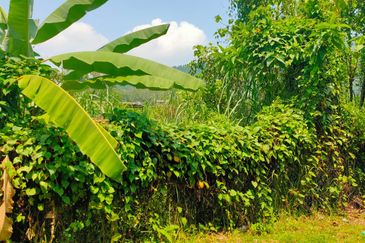 Bandar Tasik Senangin