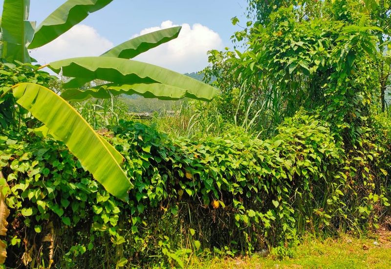 Bandar Tasik Senangin