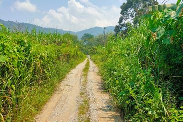 Bandar Tasik Senangin