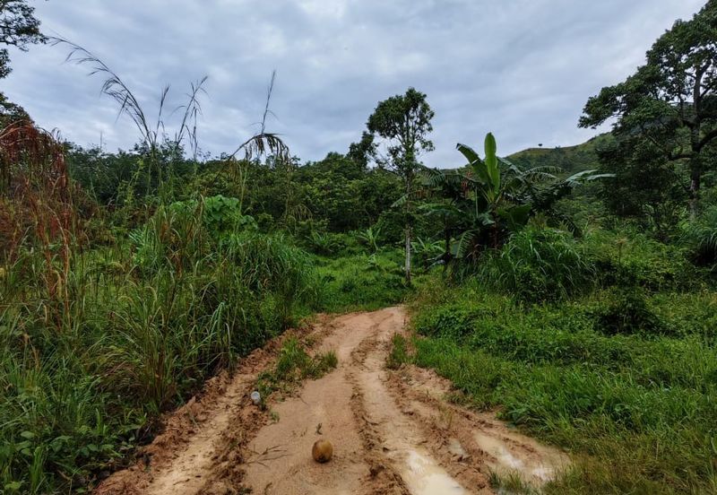 Bandar Tasik Senangin