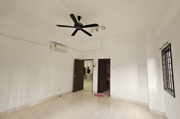 Evergreen Park Scot Pine