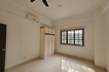 Evergreen Park Scot Pine