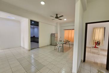 Evergreen Park Scot Pine