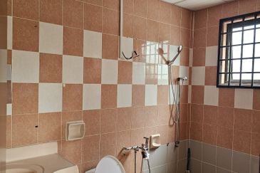 Evergreen Park Scot Pine