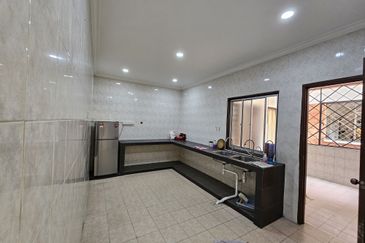 Evergreen Park Scot Pine