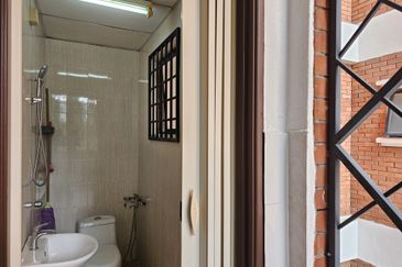 Evergreen Park Scot Pine