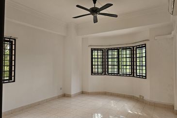 Evergreen Park Scot Pine