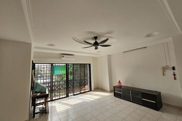 Evergreen Park Scot Pine