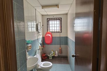 Evergreen Park Scot Pine