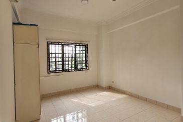 Evergreen Park Scot Pine