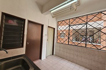 Evergreen Park Scot Pine