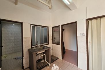 Evergreen Park Scot Pine