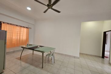 Evergreen Park Scot Pine