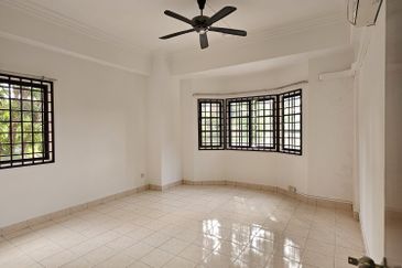 Evergreen Park Scot Pine