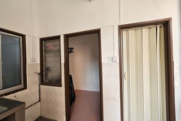 Evergreen Park Scot Pine