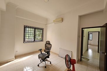 Evergreen Park Scot Pine