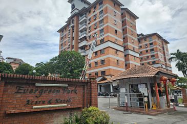 Evergreen Park Acorn and Hazel