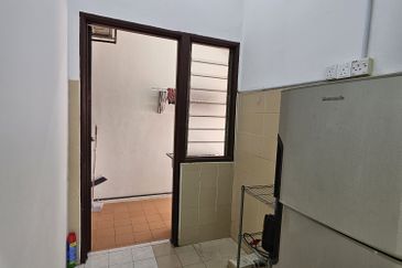 Evergreen Park Acorn and Hazel