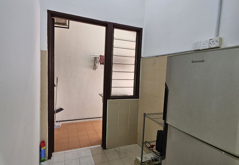 Evergreen Park Acorn and Hazel