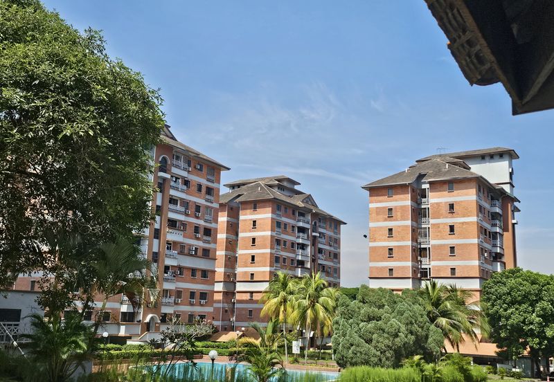 Evergreen Park Acorn and Hazel