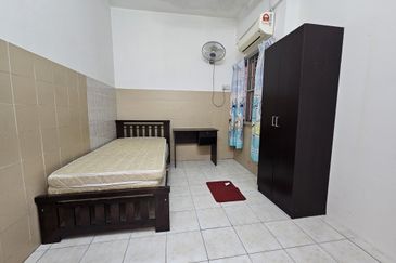 Evergreen Park Acorn and Hazel