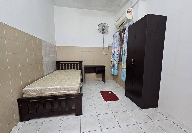 Evergreen Park Acorn and Hazel