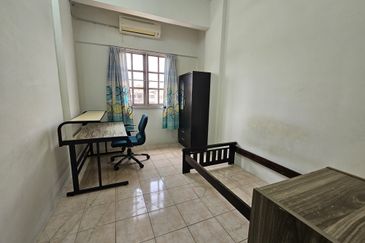 Evergreen Park Acorn and Hazel