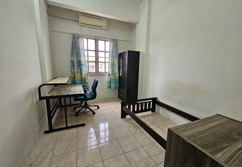 Evergreen Park Acorn and Hazel