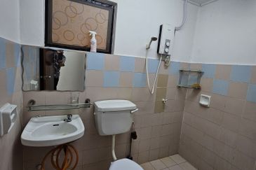 Evergreen Park Acorn and Hazel