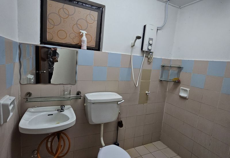 Evergreen Park Acorn and Hazel