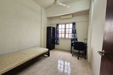 Evergreen Park Acorn and Hazel